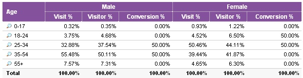Analyze Visitor Gender and Age