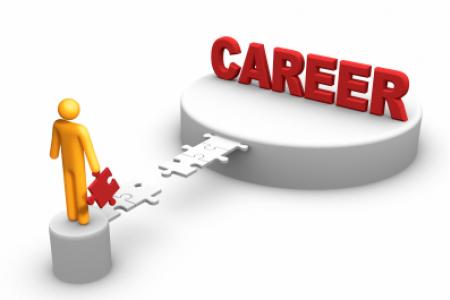 Web Analytics Career