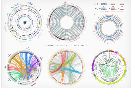 digital-analytics-tool