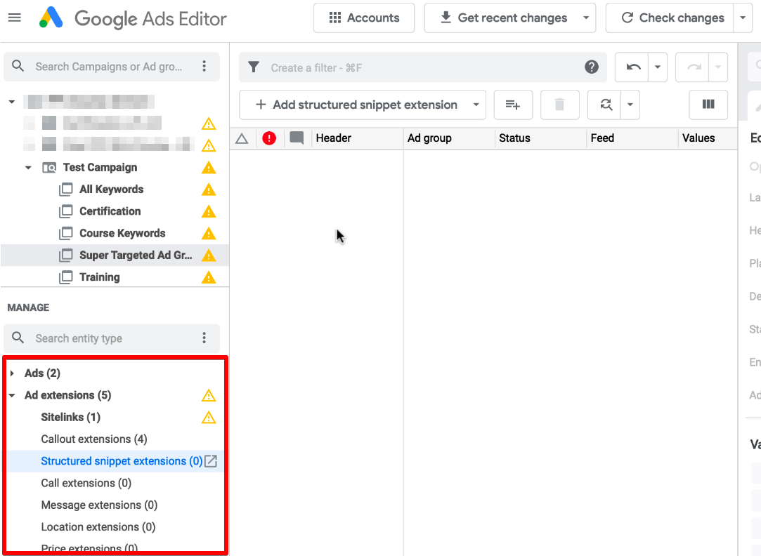 Ad Extensions in Google Ads Editor