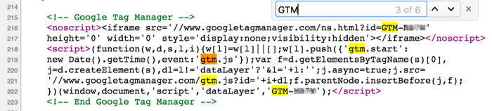 gtm-snippet
