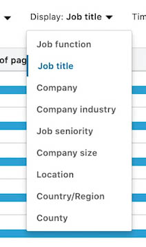 LinkedIn Audience Insight Tag