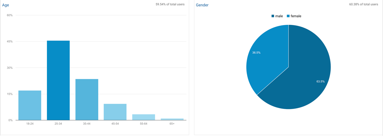 google analytics demographics reports and charts