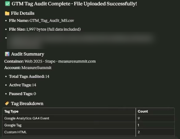 Audit summary for a 14 tag container listing total tags audited, active tags, paused tags and a tag type breakdown
