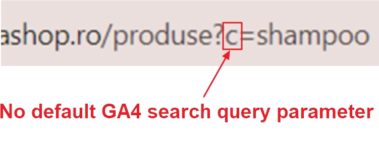 No default ga4 search query parameter